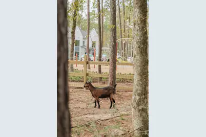 11411 Mandolin Drive, Montgomery, TX 77316 - Photo 28