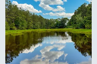 Xxx Private Rd 5170, Kirbyville, TX 75956 - Photo 46