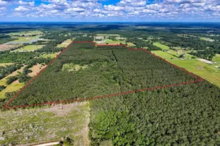 Xxx Private Rd 5170, Kirbyville, TX 75956 - Photo 1