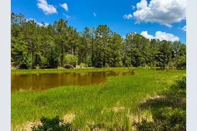 Xxx Private Rd 5170, Kirbyville, TX 75956 - Photo 48