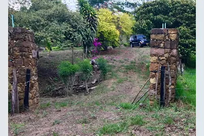 Lote 5 Palma Real, , CO  - Photo 6