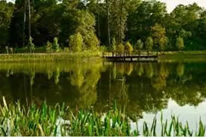 160 Birdsall Street #1417, Houston, TX 77007 - Photo 28