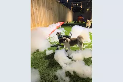 160 Birdsall Street #1417, Houston, TX 77007 - Photo 10