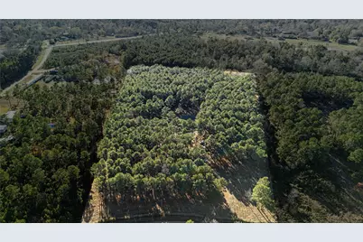 235 Bracewell Cemetery Road, Livingston, TX 77351 - Photo 30