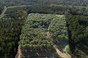 235 Bracewell Cemetery Rd, Livingston, TX 77351 - Photo 30