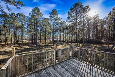 235 Bracewell Cemetery Road, Livingston, TX 77351 - Photo 8