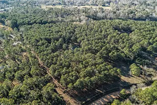 235 Bracewell Cemetery Rd, Livingston, TX 77351 - Photo 28