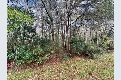 Tbd Fm 92, Woodville, TX 75979 - Photo 1