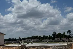 20854 Wildbird Cherry Ln, Porter, TX 77365 - Photo 18