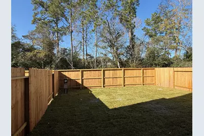 127 West Coralburst Loop, Montgomery, TX 77316 - Photo 12