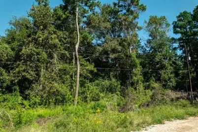 25865 Somerset, New Caney, TX 77357 - Photo 4