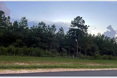 15685 Wood Grove Way, Willis, TX 77378 - Photo 4