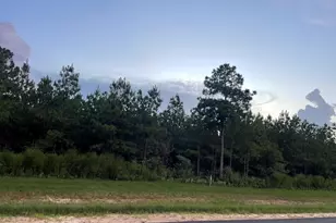 15685 Wood Grv Wy, Willis, TX 77378 - Photo 4