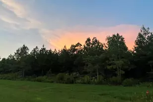 15685 Wood Grv Wy, Willis, TX 77378 - Photo 12