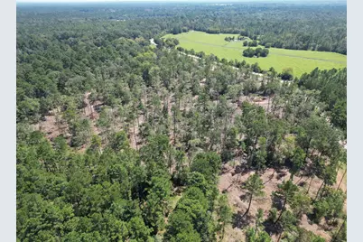 Tbd Vick Spring Road, New Waverly, TX 77358 - Photo 10