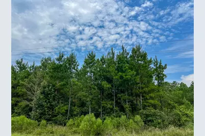 36 Highway 94 Road, Groveton, TX 75845 - Photo 6