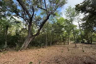 1 Cr 289, Sweeny, TX 77480 - Photo 1