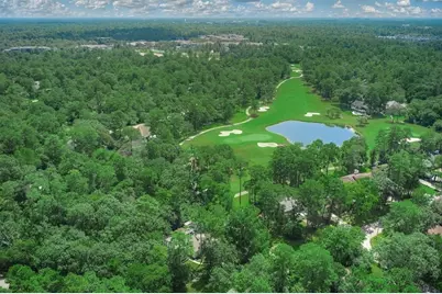 5 Berrypick Lane, The Woodlands, TX 77380 - Photo 20