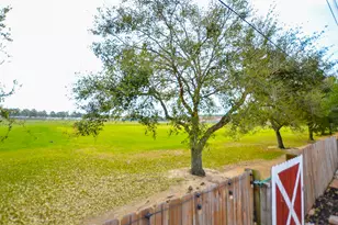 2811 Willow Fork Dr, Katy, TX 77450 - Photo 30