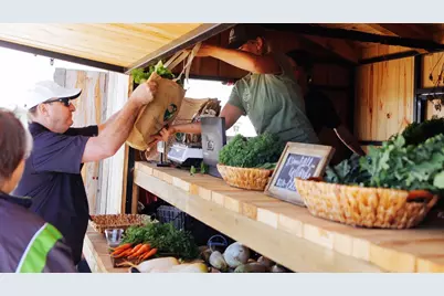 230 Mandarin Mist Street, Richmond, TX 77406 - Photo 12