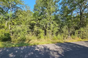 Tbd Woodfarm Rd, Huntsville, TX 77320 - Photo 1