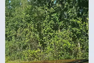 Tbd Woodfarm Road, Huntsville, TX 77320 - Photo 2