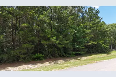 8524 Crown Lake Court, Montgomery, TX 77316 - Photo 8