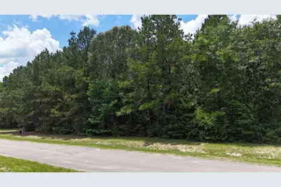 8524 Crown Lake Court, Montgomery, TX 77316 - Photo 2