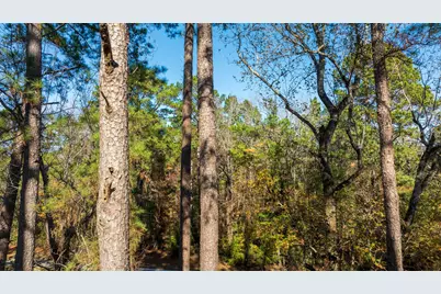 23684 Fm 227 E, Kennard, TX 75847 - Photo 22