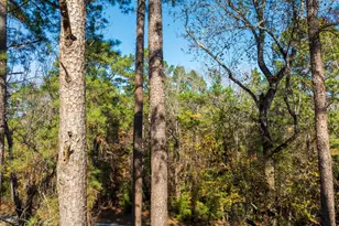 23684 Fm 227 E, Kennard, TX 75847 - Photo 22