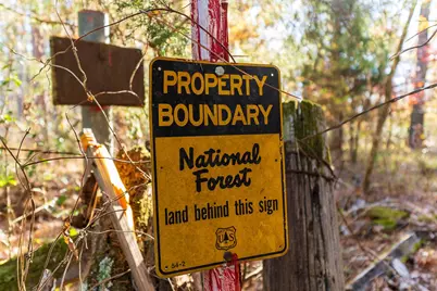 23684 Fm 227 E, Kennard, TX 75847 - Photo 2