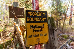 23684 Fm 227 E, Kennard, TX 75847 - Photo 2