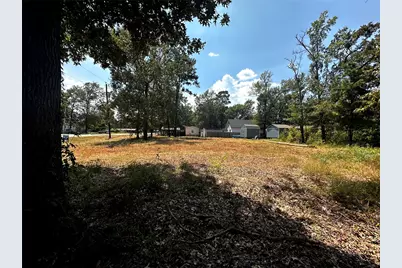 170 Tobago Lane, Point Blank, TX 77364 - Photo 4