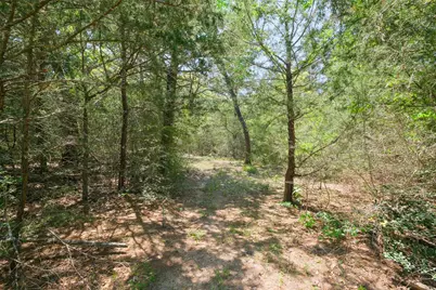 24718 Squirrel Road, New Ulm, TX 78950 - Photo 10