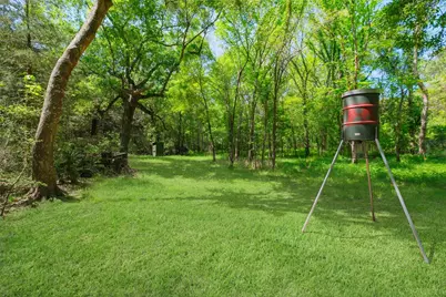 24718 Squirrel Road, New Ulm, TX 78950 - Photo 4