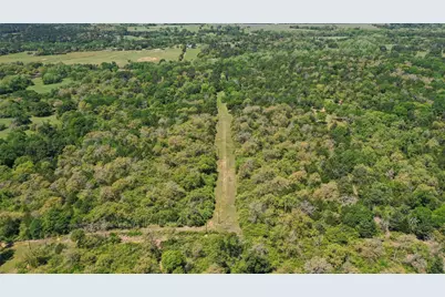 24718 Squirrel Road, New Ulm, TX 78950 - Photo 6