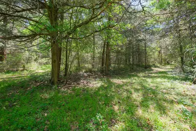 24718 Squirrel Road, New Ulm, TX 78950 - Photo 2
