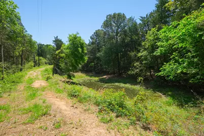 24718 Squirrel Road, New Ulm, TX 78950 - Photo 6