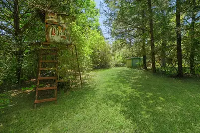 24718 Squirrel Road, New Ulm, TX 78950 - Photo 4