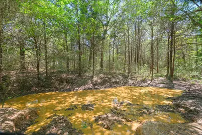 24718 Squirrel Road, New Ulm, TX 78950 - Photo 12