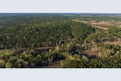 00 Hubert Cemetery Rd, Livingston, TX 77351 - Photo 10