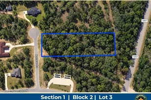 16611 Retreat Rd, Willis, TX 77378 - Photo 1