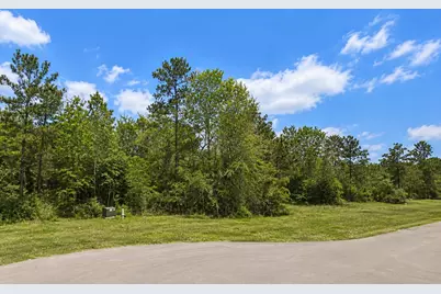 16611 Retreat Road, Willis, TX 77378 - Photo 6