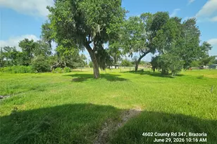4602 County Rd 347, Brazoria, TX 77422 - Photo 24