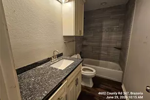 4602 County Rd 347, Brazoria, TX 77422 - Photo 16