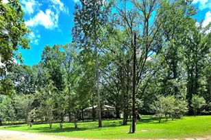 10 Elderberry Rd, Shepherd, TX 77371 - Photo 2