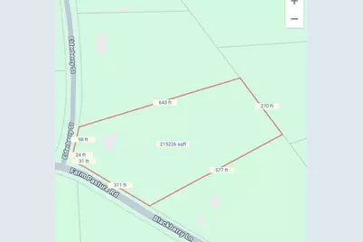 10 Elderberry Road, Shepherd, TX 77371 - Photo 4