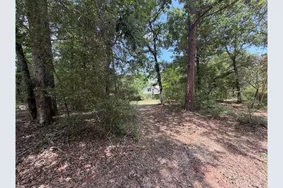 161 Austin Road, Trinity, TX 75862 - Photo 4