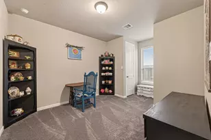 30046 Cherry Sage Ln, Fulshear, TX 77423 - Photo 24