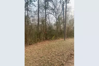 Tbd Hill Creek Drive, Coldspring, TX 77331 - Photo 2